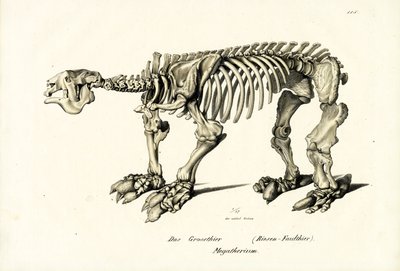 Giant Ground Sloth by Karl Joseph Brodtmann